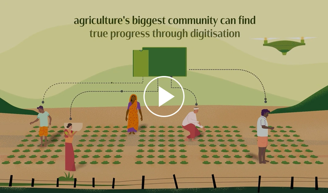 FDC Video